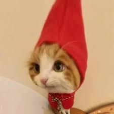 Nguyễn Lan Anh avatar