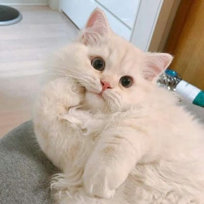 Nguyễn Văn Dũng avatar